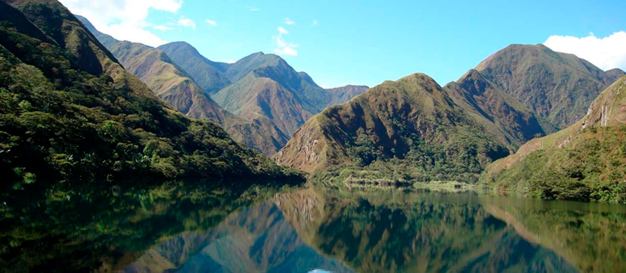 Cuidado del medio ambiente